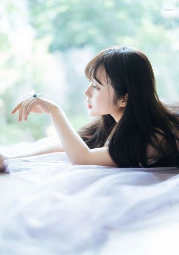 电视连续剧黑狐之风影_高清手机在线看