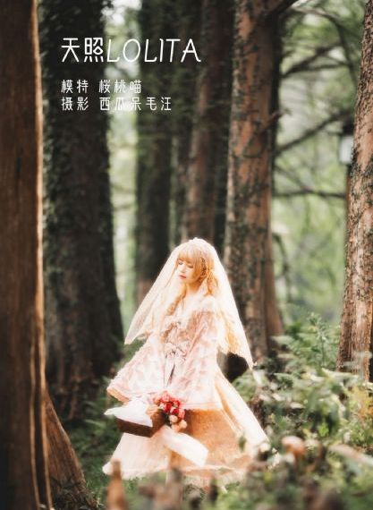 中国惊奇先生大电影_超清日韩电影在线